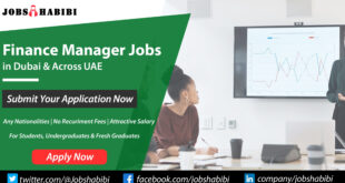 Finance Manager Jobs