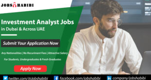 Investment Analyst Jobs