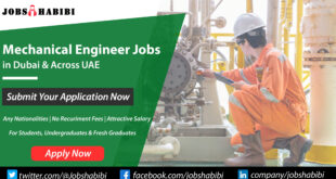 Mechanical Engineer Jobs