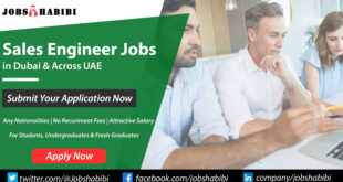 Sales Engineer Jobs