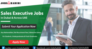 Sales Executive Jobs