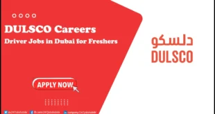 DULSCO Careers