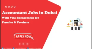 Accountant Jobs in Dubai