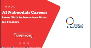 Al Naboodah Careers